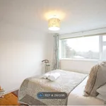 Rent 4 bedroom house in East Of England