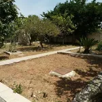 Rent 3 bedroom house of 125 m² in Ανάβυσσος