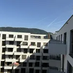 Rent 2 bedroom apartment of 48 m² in Graz