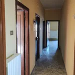 Rent 4 bedroom apartment of 100 m² in Ferrazzano