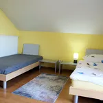 Miete 1 Schlafzimmer haus von 24 m² in Cologne