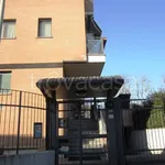 Rent 1 bedroom apartment of 44 m² in Corsico