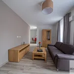 Rent 2 bedroom apartment of 47 m² in Nuremberg