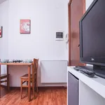 Rent 1 bedroom apartment in Milan