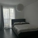 Rent 2 bedroom apartment of 47 m² in Sanpetru