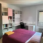 Rent 3 bedroom apartment of 90 m² in Bologna