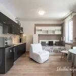 Rent 1 bedroom apartment in Praha 5