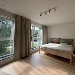 Rent 1 bedroom apartment in Gent