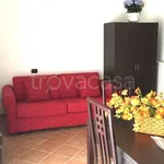 Rent 1 bedroom apartment of 38 m² in Varese