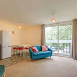 Rent 1 bedroom apartment in East Midlands