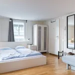 Rent 1 bedroom apartment of 28 m² in Zug