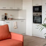 Alquilo 2 dormitorio apartamento de 40 m² en Vitoria-Gasteiz