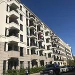 Rent 2 bedroom apartment of 55 m² in Berlin