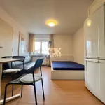 Rent 3 bedroom apartment of 80 m² in Prague