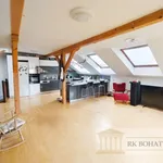 Rent 5 bedroom apartment of 150 m² in Prague