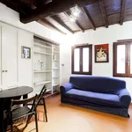 Rent 1 bedroom apartment in Florence