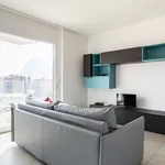 Rent 2 bedroom apartment of 60 m² in Viganello