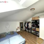 Rent 2 bedroom apartment of 45 m² in Tábor