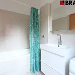 Rent 2 bedroom apartment of 58 m² in Brno