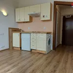 Rent 1 bedroom apartment of 20 m² in Praha