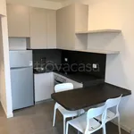 Rent 2 bedroom apartment of 30 m² in Vedano al Lambro