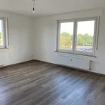 die perfekte Singelwohnung mit viel Platz für ein Hobby