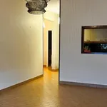 Rent 3 bedroom apartment of 56 m² in Perpignan