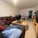  appartement avec 1 chambre(s) en location à Hoevenen