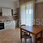 Rent 3 bedroom apartment of 115 m² in Roma