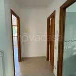 Affitto 3 camera appartamento di 74 m² in Olevano Romano