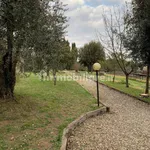 Rent 3 bedroom apartment of 75 m² in Siena