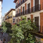 Rent a room of 120 m² in madrid