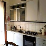 Rent 3 bedroom apartment of 105 m² in Parma