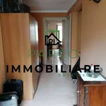 Rent 4 bedroom apartment of 170 m² in Torino