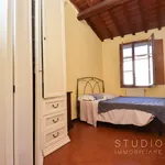 Rent 2 bedroom apartment of 60 m² in Pistoia