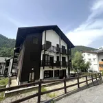 Rent 2 bedroom apartment of 55 m² in Aprica