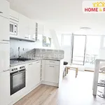 Rent 1 bedroom apartment of 45 m² in Brno