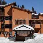 Rent 3 bedroom apartment of 38 m² in Pinzolo