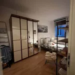 Rent 2 bedroom apartment of 60 m² in Bologna