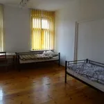 Rent 9 bedroom apartment of 200 m² in Ostrów