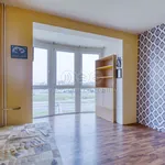 Rent 1 bedroom apartment of 41 m² in Plzeň