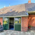 Rent 2 bedroom house of 100 m² in friesland