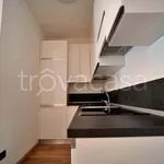 Rent 2 bedroom apartment of 50 m² in Milano