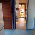 Rent 3 bedroom house in Leicester