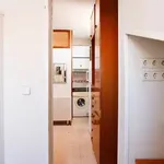 Rent 1 bedroom apartment in Madrid