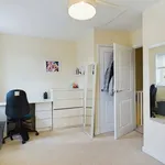 Terraced house to rent in Campion Close, Ashford TN25