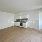 Rent 3 bedroom apartment of 80 m² in Padua