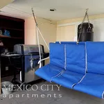 Rent 1 bedroom apartment of 45 m² in Mexico City