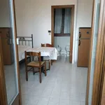 Rent 1 bedroom apartment of 22 m² in Torino