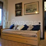 Rent 3 bedroom apartment of 75 m² in Massa